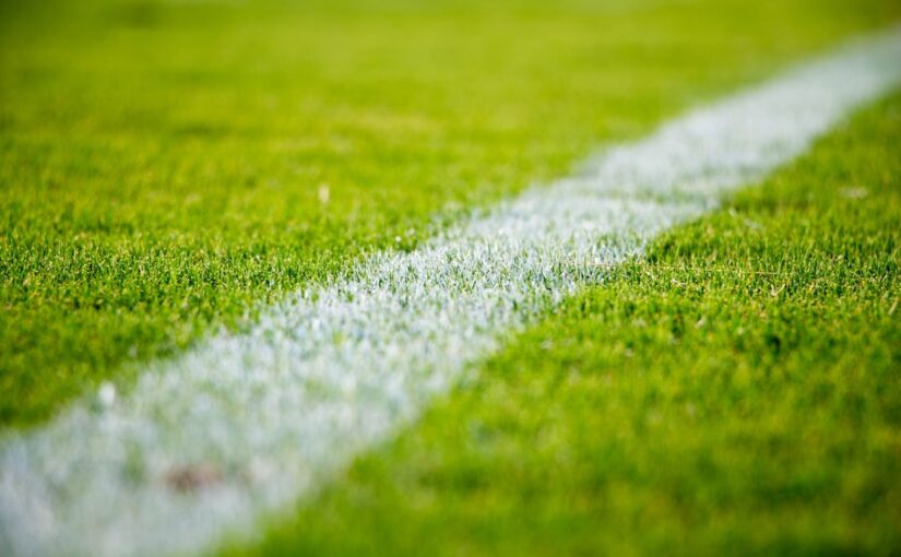 Fodboldens Verden i Din Lomme: Oplev fannews.dk