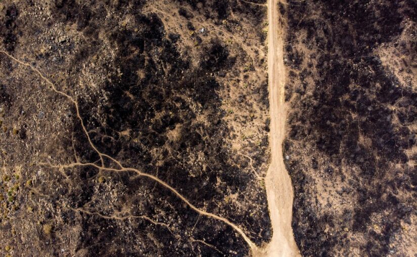 Forståelse af Neuropati: Symptomer, Årsager og Behandling